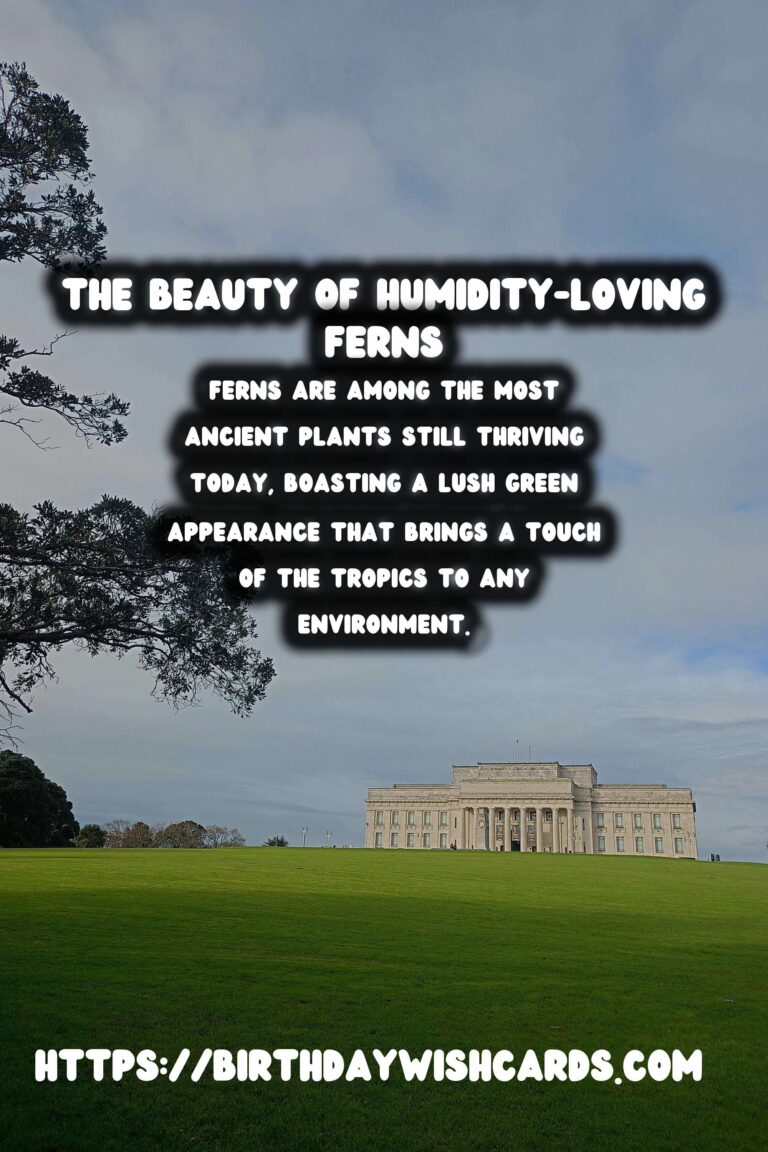 Caring for Ferns: Humidity Loving Plants – A Comprehensive Guide
