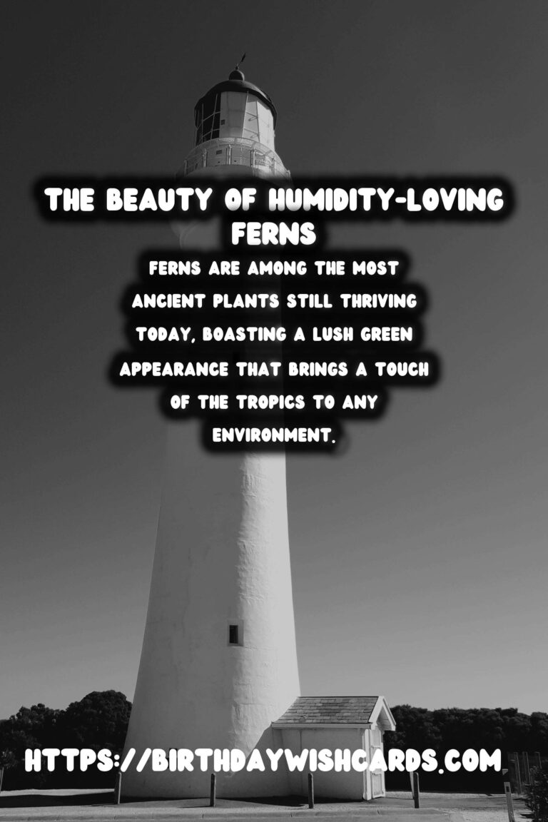 Caring for Ferns: Humidity Loving Plants - A Comprehensive Guide