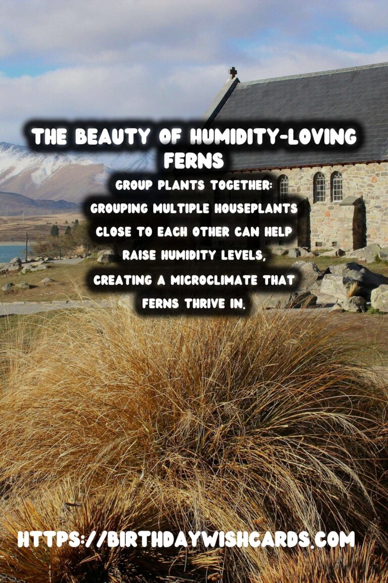 Caring for Ferns: Humidity Loving Plants - A Comprehensive Guide