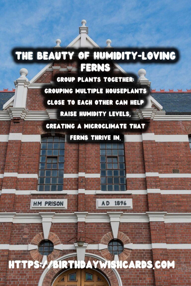 Caring for Ferns: Humidity Loving Plants - A Comprehensive Guide