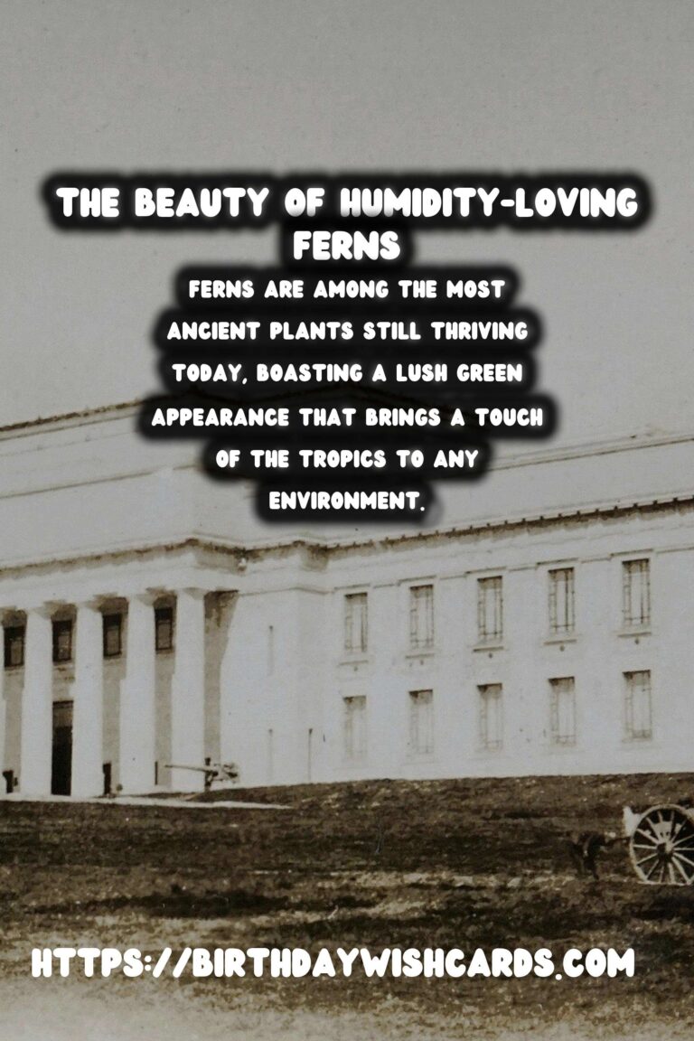 Caring for Ferns: Humidity Loving Plants - A Comprehensive Guide