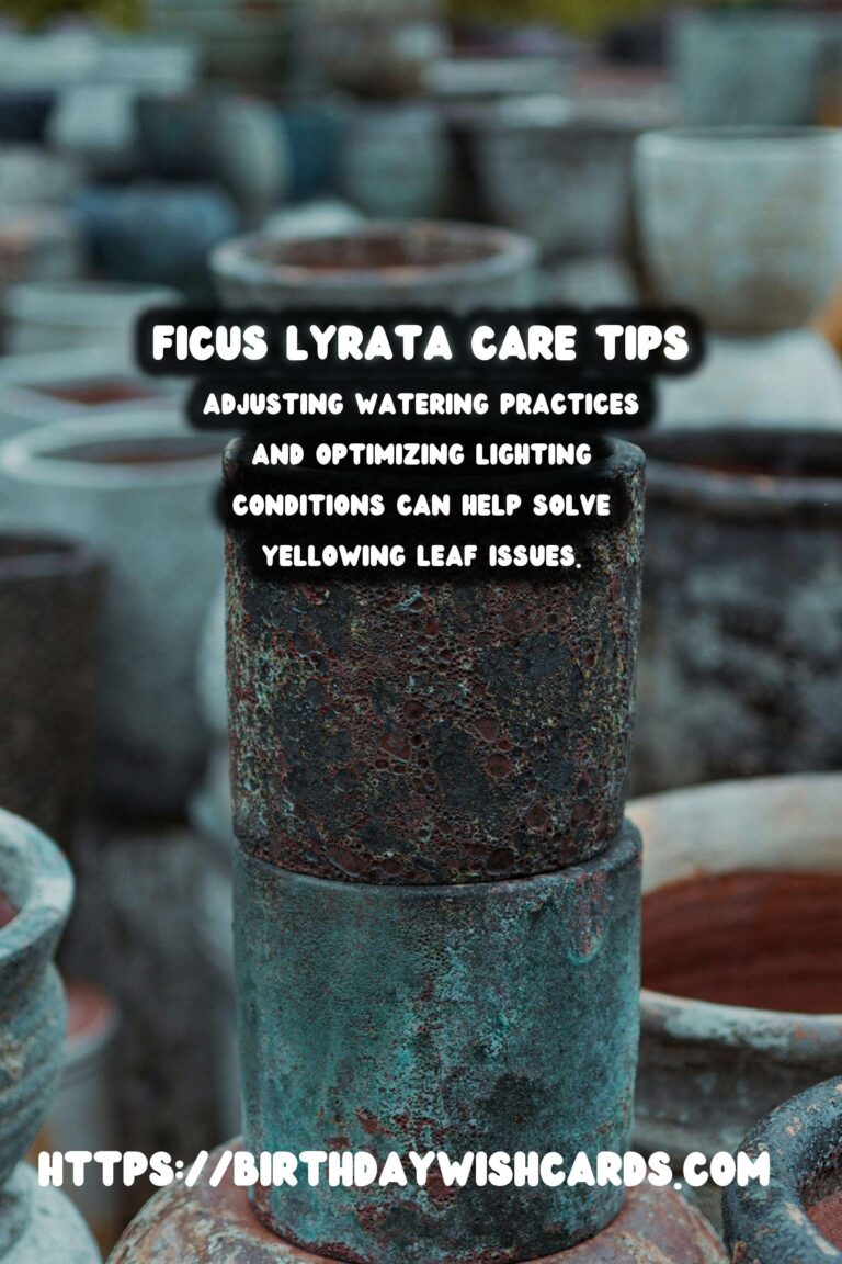 Caring for Ficus Lyrata: Addressing Yellowing Leaves