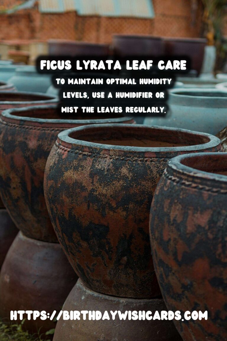 Caring for Ficus Lyrata: Effective Solutions for Leaf Burn