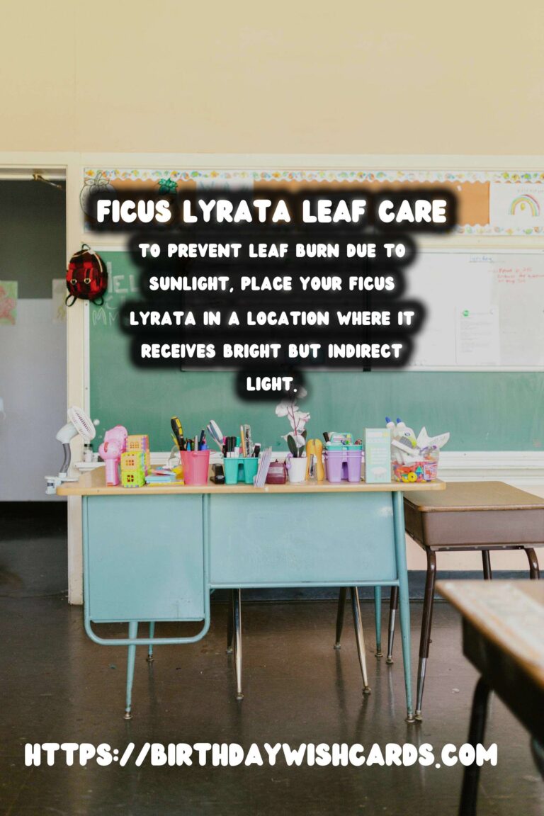 Caring for Ficus Lyrata: Effective Solutions for Leaf Burn