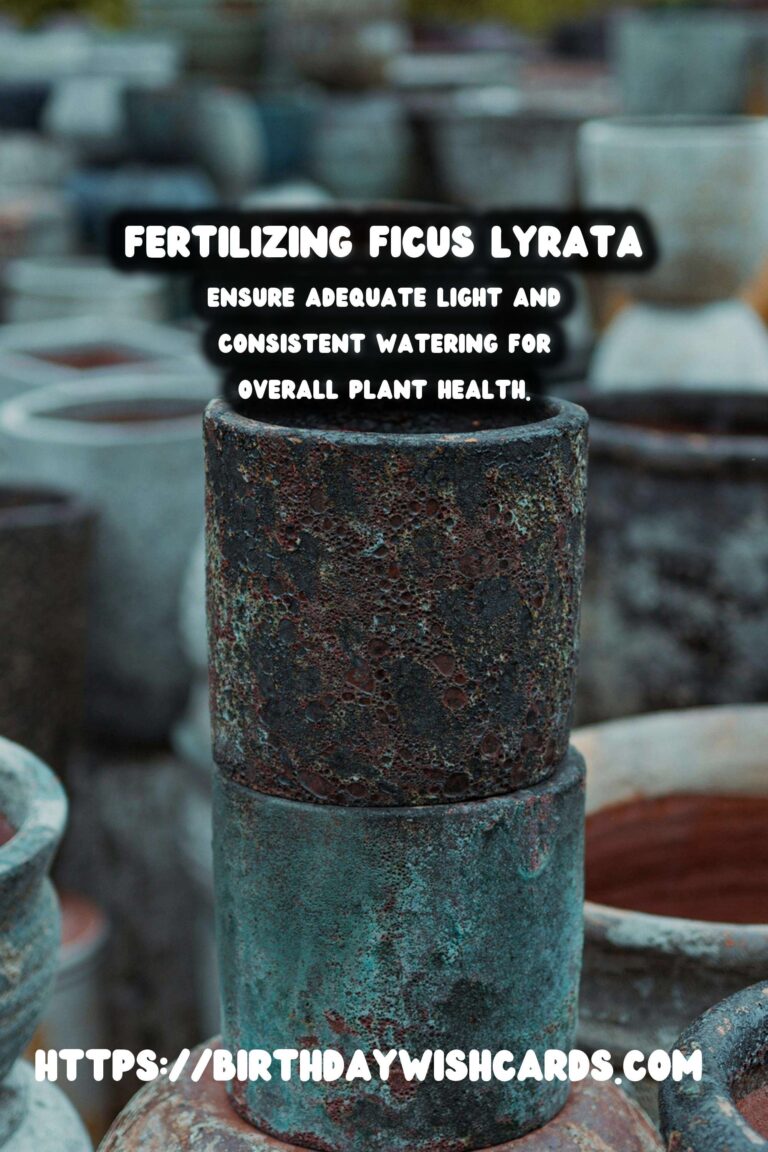 Caring for Ficus Lyrata: Fertilizing for New Growth