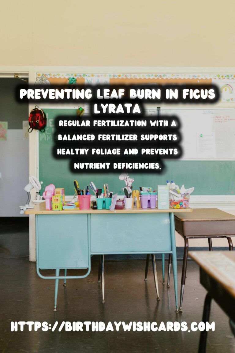 Caring for Ficus Lyrata: How to Prevent Leaf Burn
