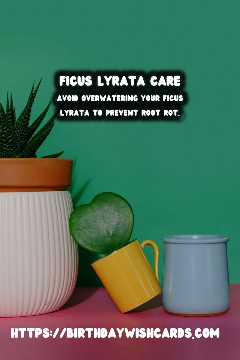 Caring for Ficus Lyrata: Mastering the Watering Schedule