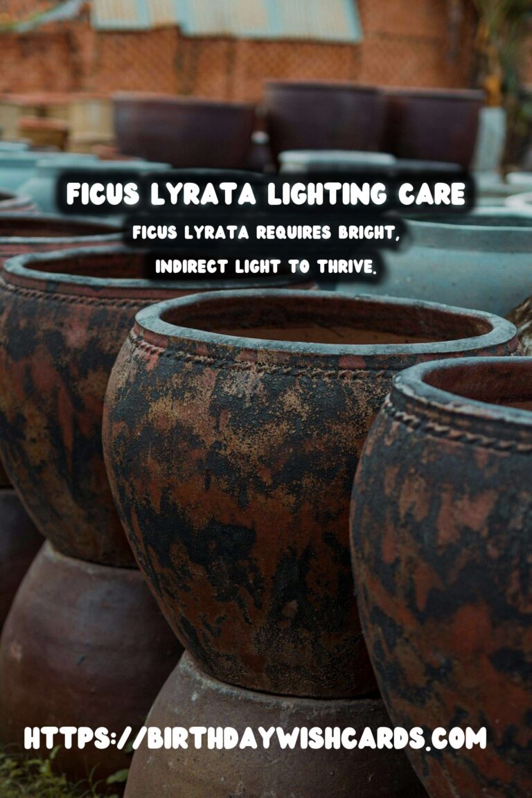 Caring for Ficus Lyrata: Optimal Lighting for Growth