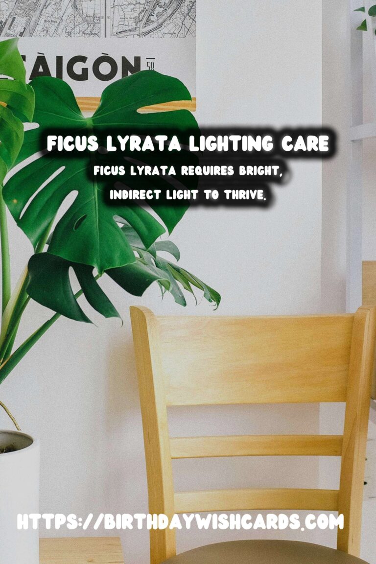 Caring for Ficus Lyrata: Optimal Lighting for Growth