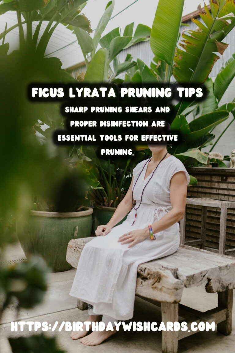 Caring for Ficus Lyrata: Pruning for Shape and Health