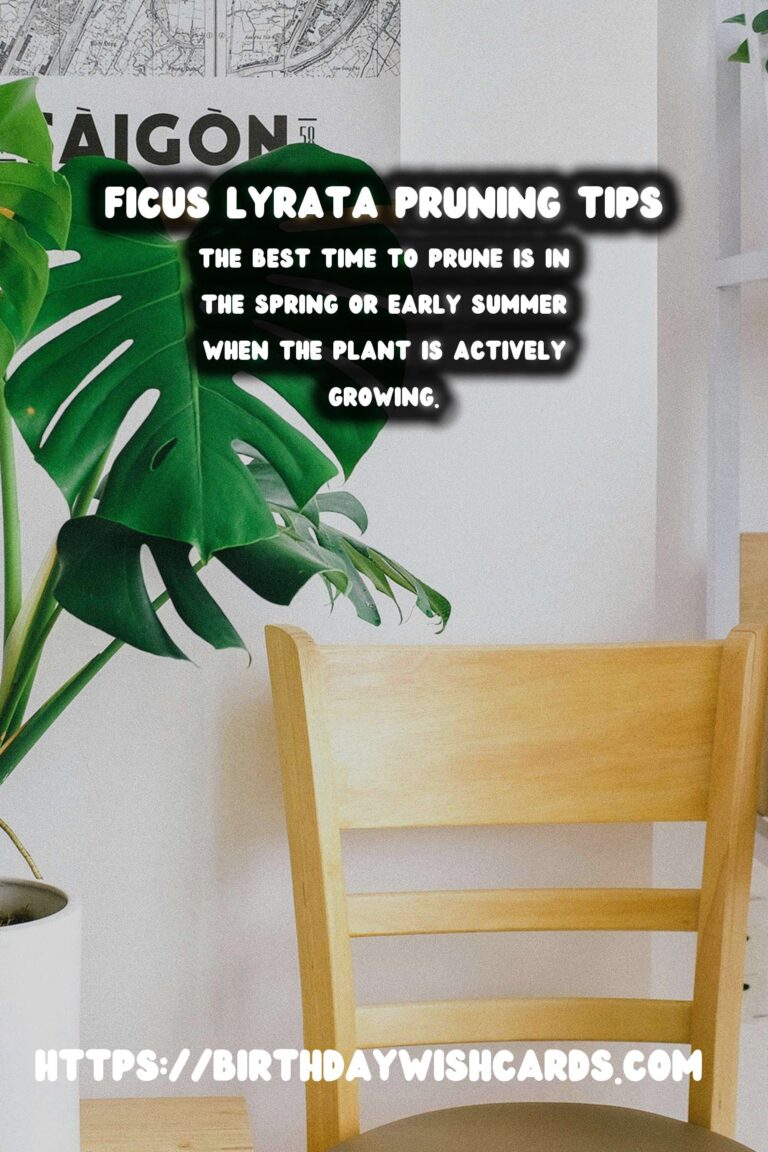 Caring for Ficus Lyrata: Pruning for Shape and Health
