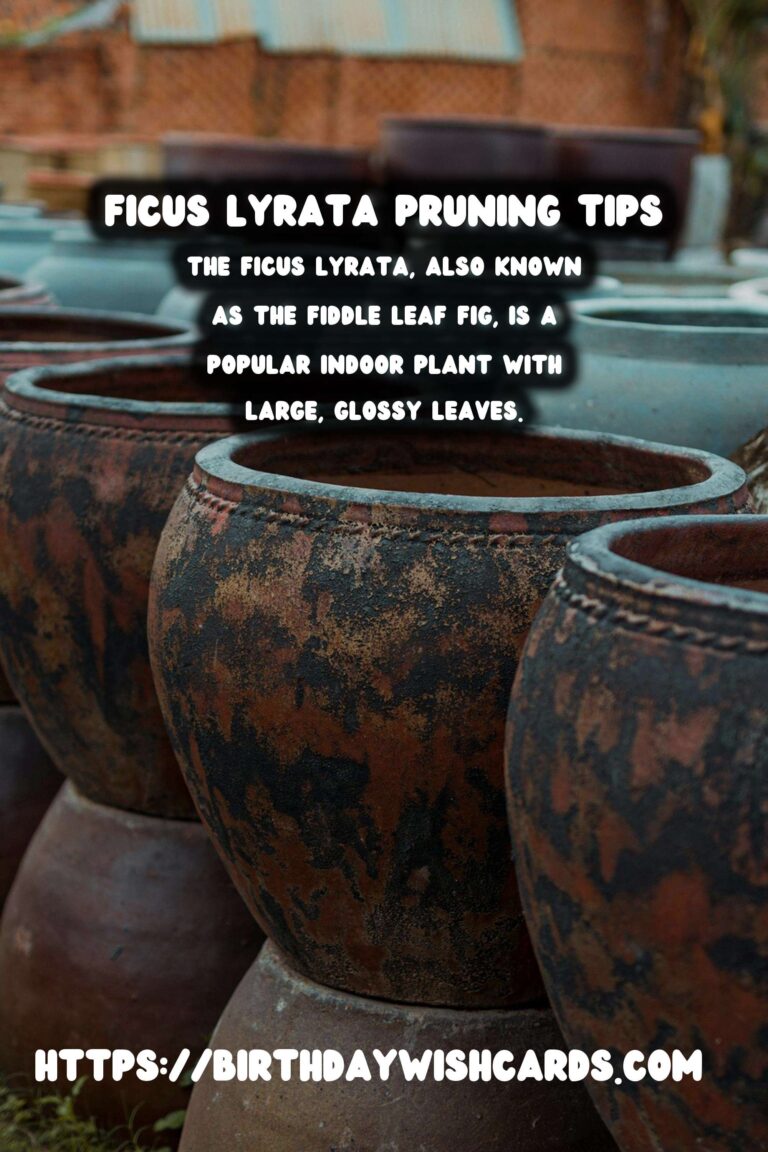 Caring for Ficus Lyrata: Pruning for Shape and Health