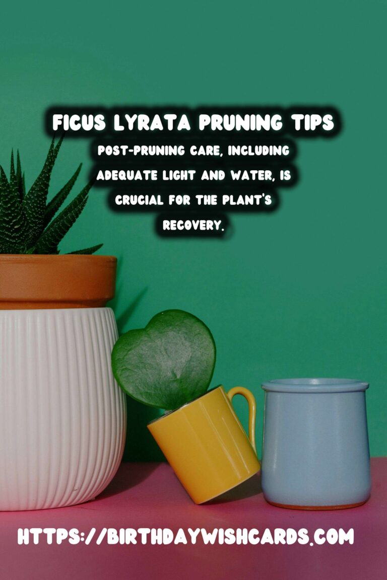 Caring for Ficus Lyrata: Pruning for Shape and Health