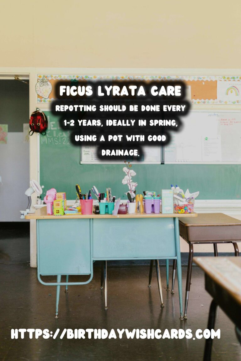 Caring for Ficus Lyrata: Repotting and Root Pruning Guide