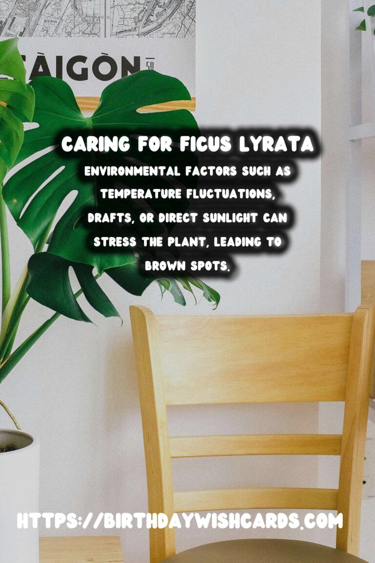 Caring for Ficus Lyrata: Solutions for Brown Spots