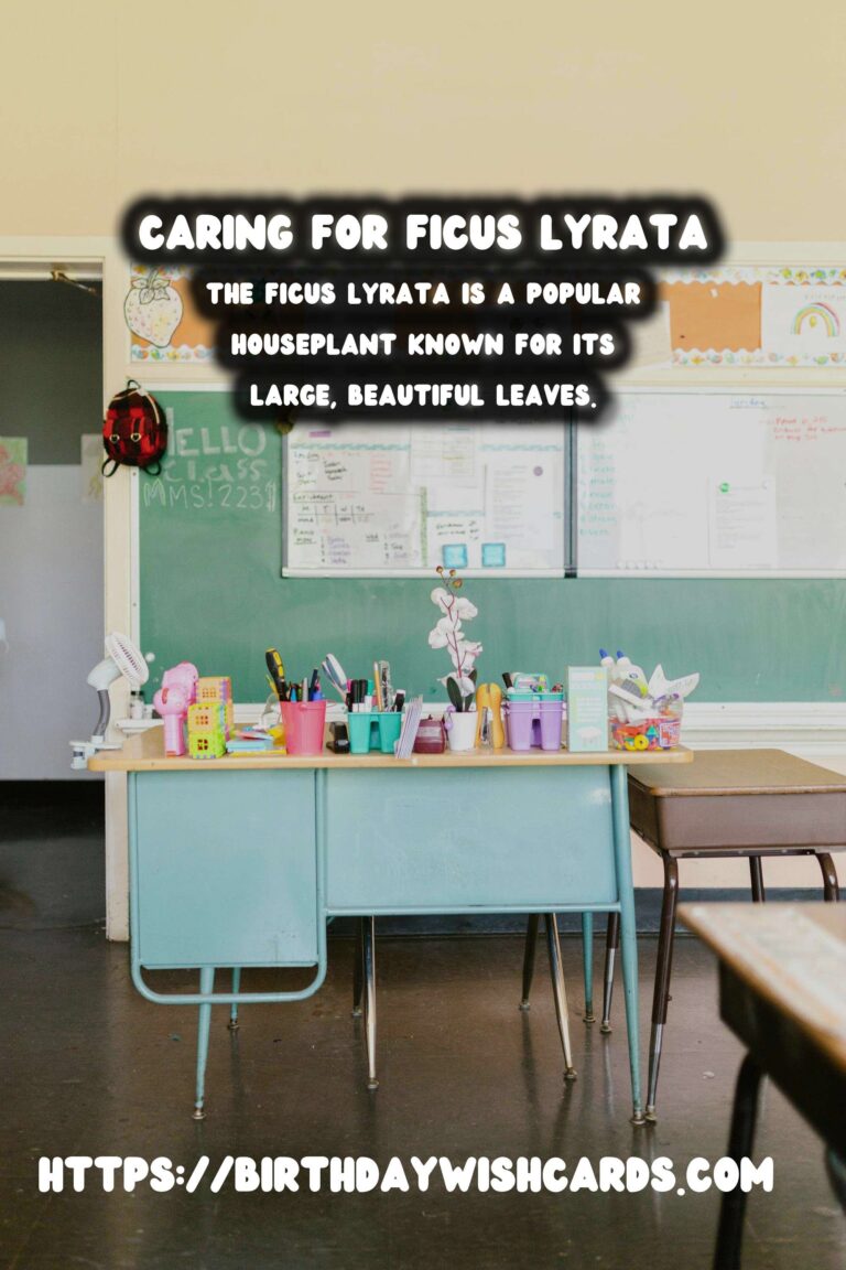 Caring for Ficus Lyrata: Solutions for Brown Spots