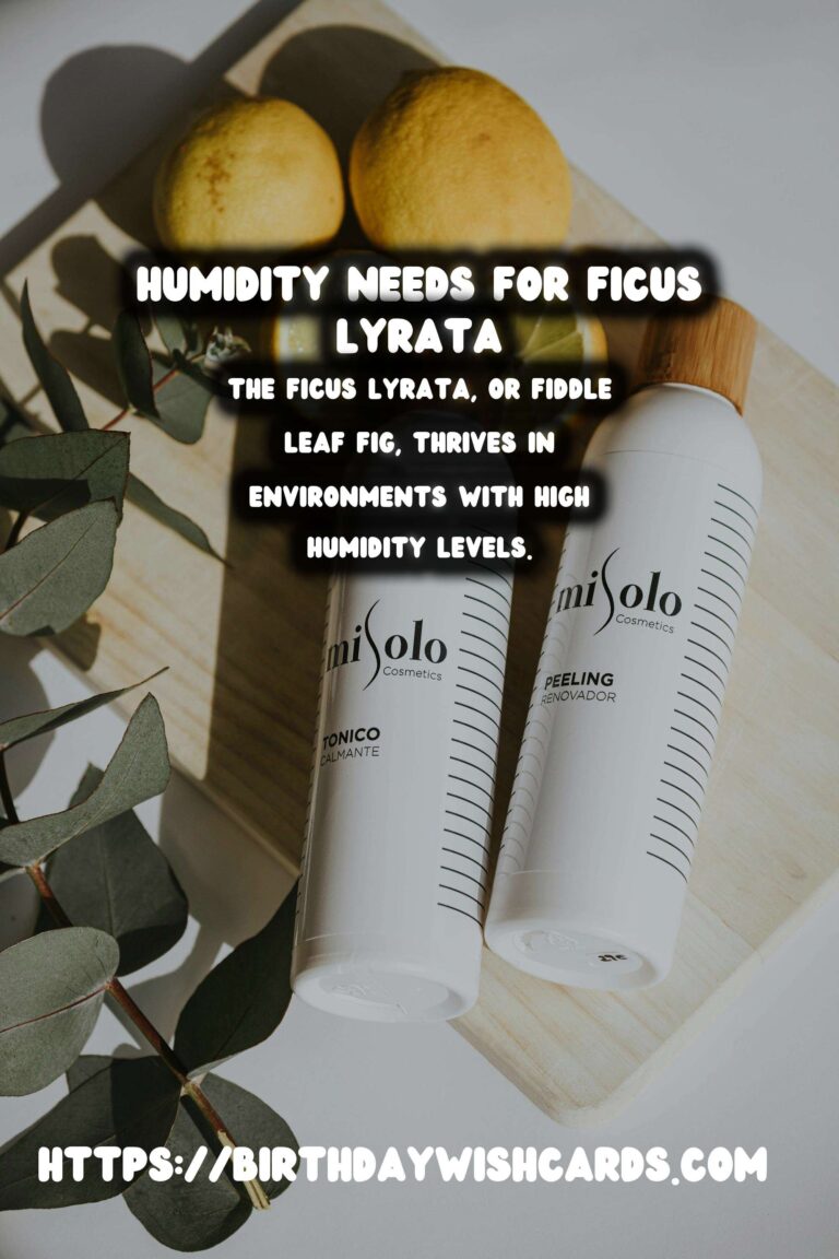 Caring for Ficus Lyrata: Understanding Humidity Needs for Optimal Growth