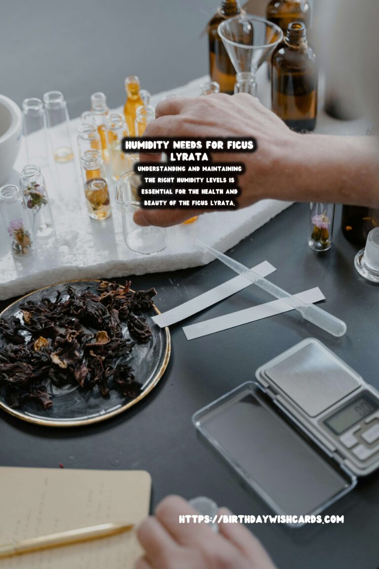 Caring for Ficus Lyrata: Understanding Humidity Needs for Optimal Growth