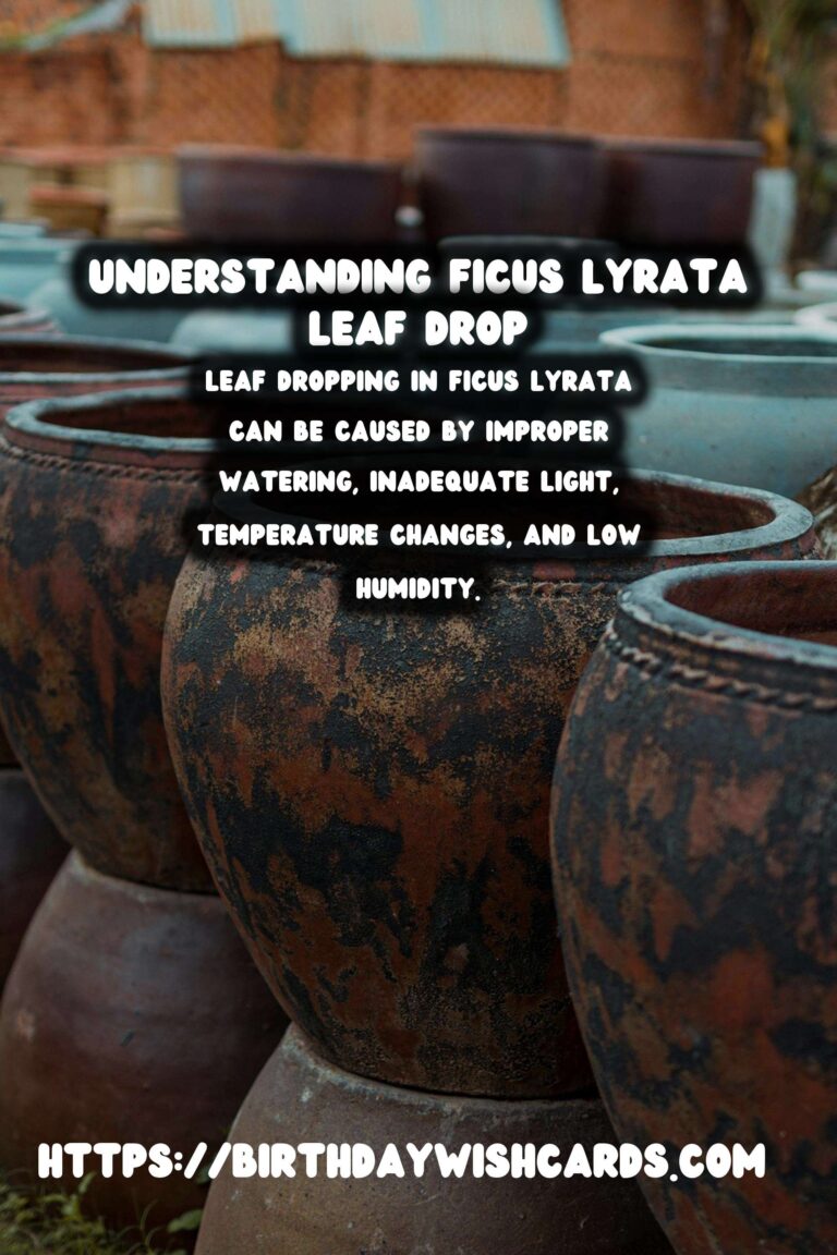 Caring for Ficus Lyrata: Understanding and Preventing Leaf Dropping