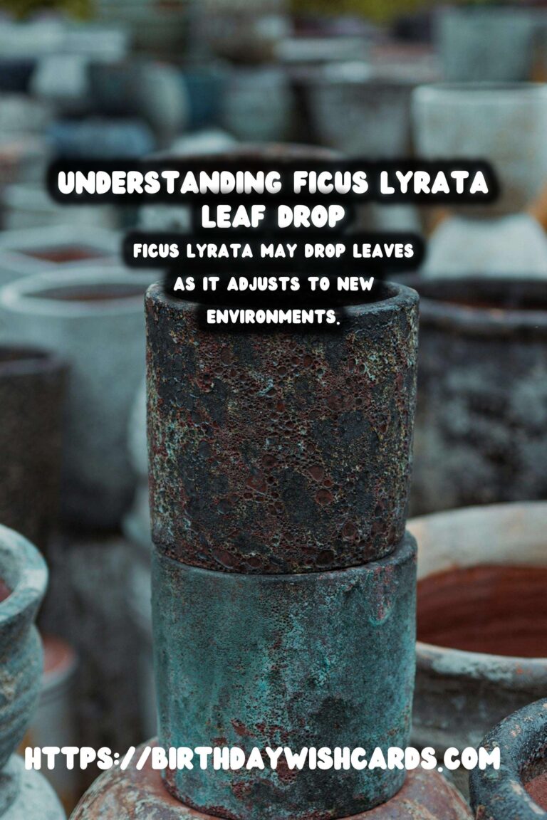 Caring for Ficus Lyrata: Understanding and Preventing Leaf Dropping
