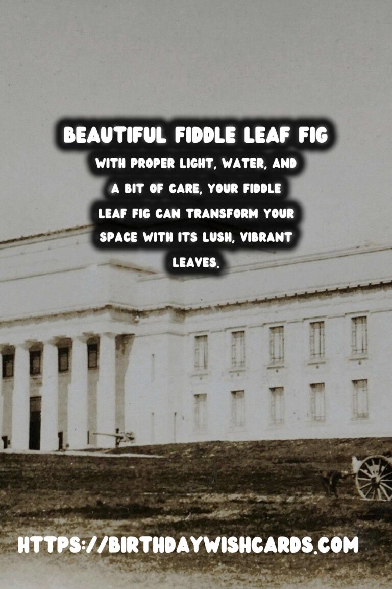 Caring for Fiddle Leaf Figs: Expert Tips for Thriving Plants