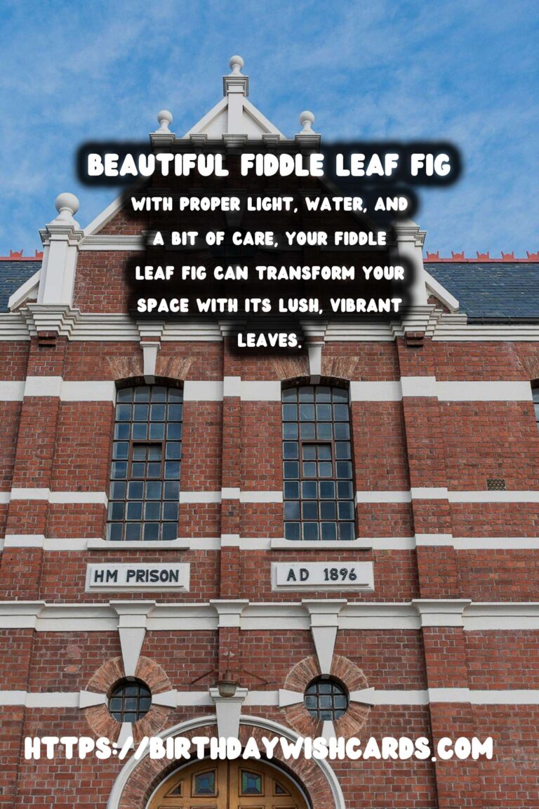 Caring for Fiddle Leaf Figs: Expert Tips for Thriving Plants