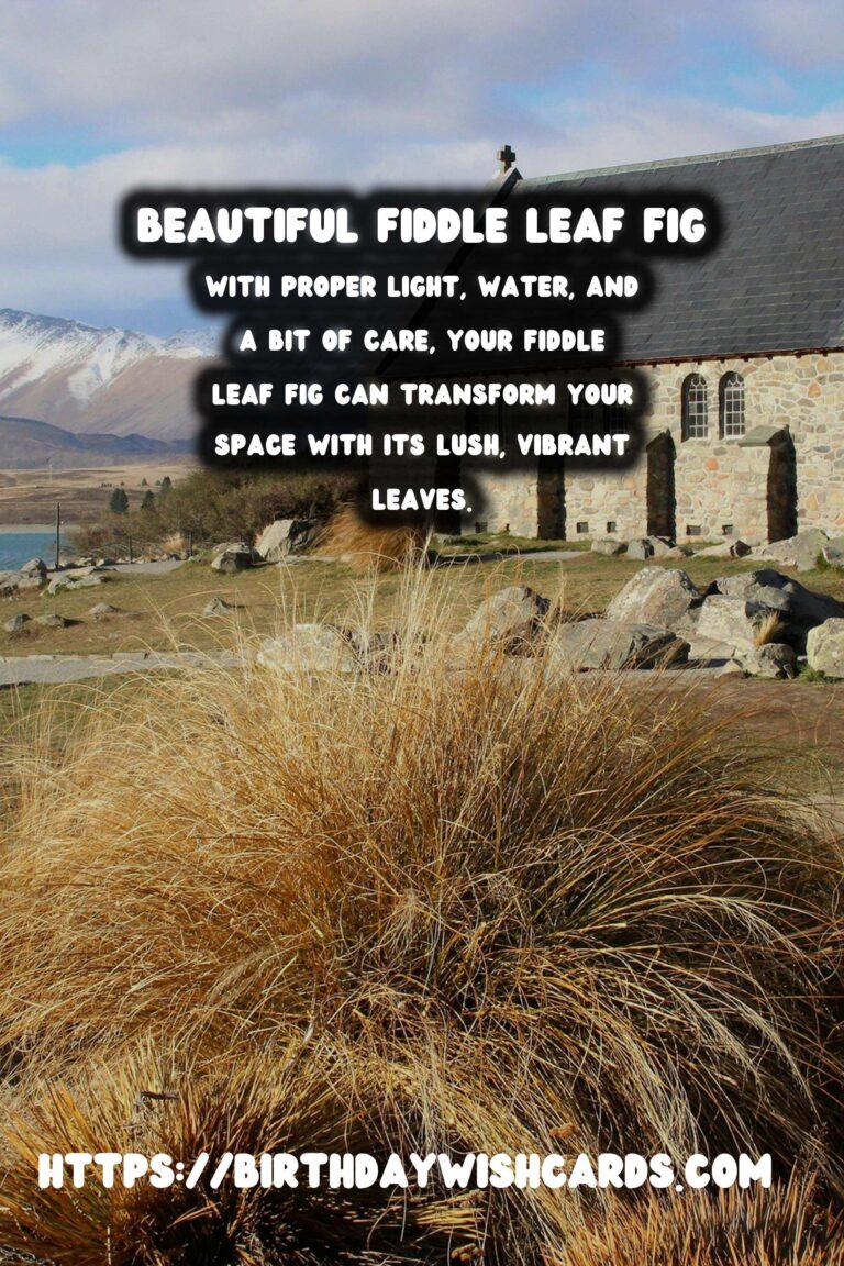 Caring for Fiddle Leaf Figs: Expert Tips for Thriving Plants