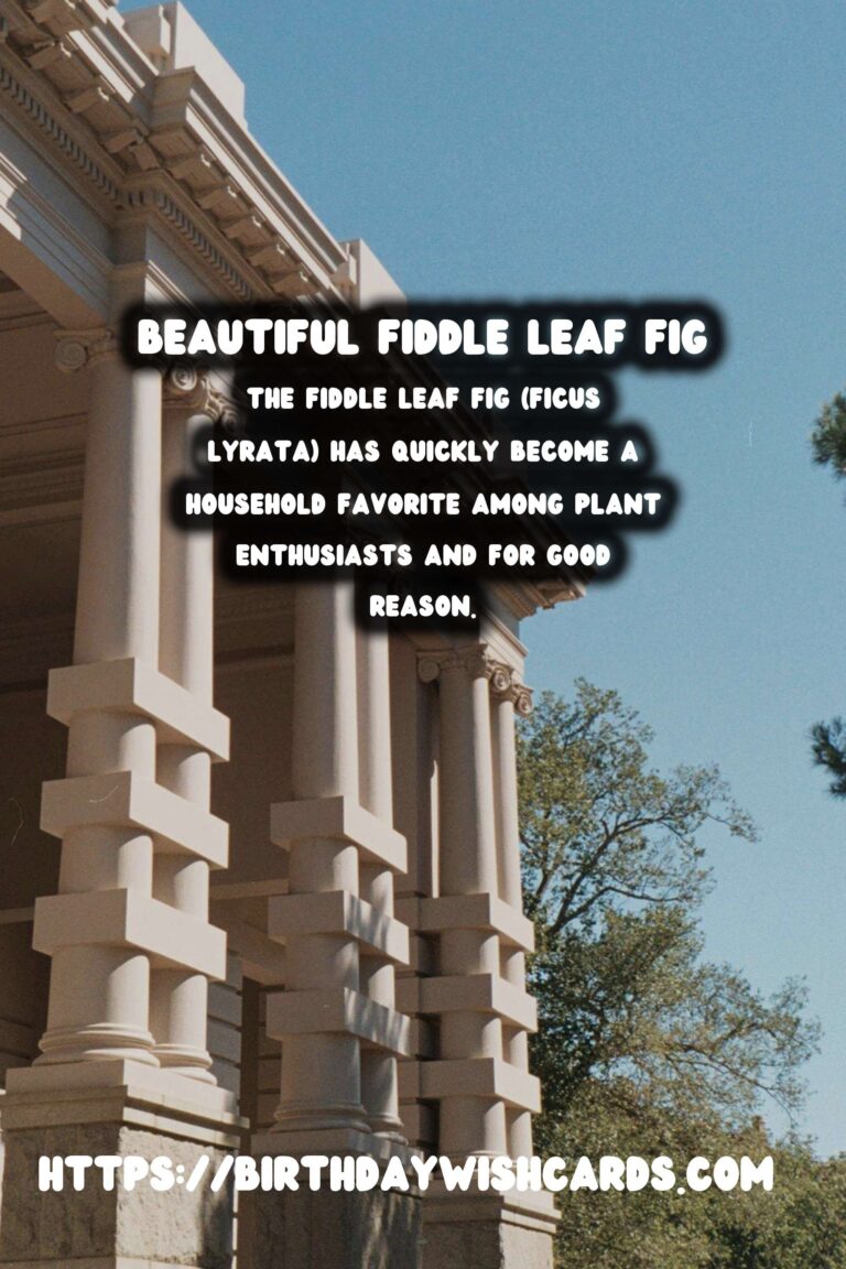 Caring for Fiddle Leaf Figs: Expert Tips for Thriving Plants