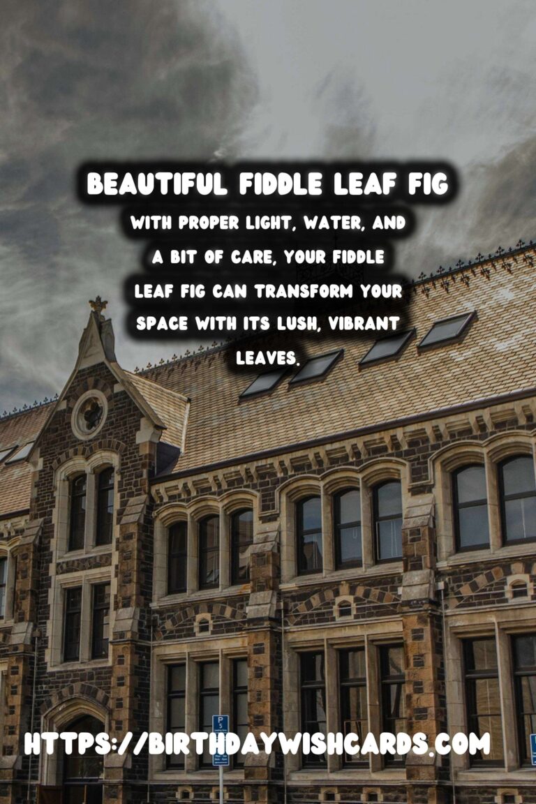 Caring for Fiddle Leaf Figs: Expert Tips for Thriving Plants