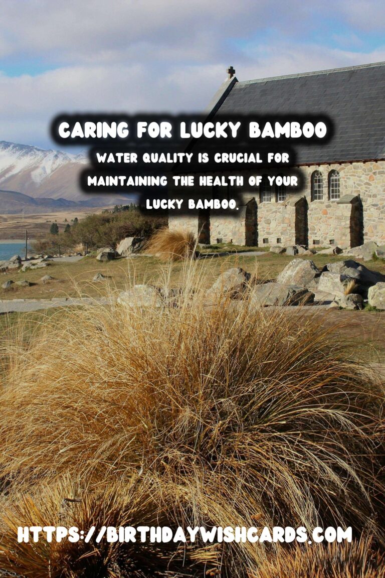 Caring for Lucky Bamboo: Symbolism & Proper Maintenance