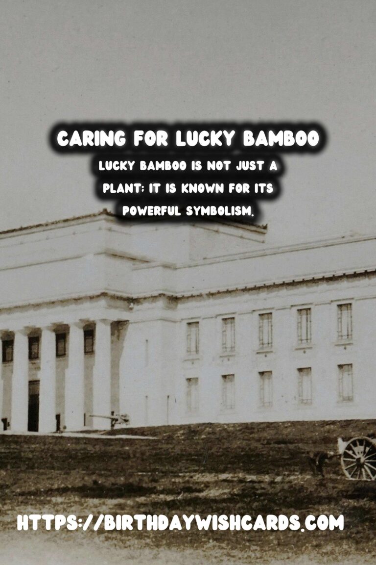 Caring for Lucky Bamboo: Symbolism & Proper Maintenance