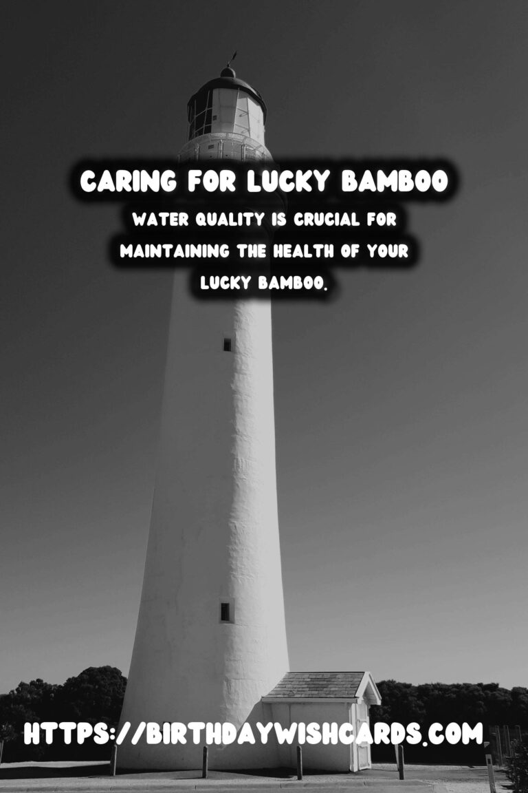 Caring for Lucky Bamboo: Symbolism & Proper Maintenance