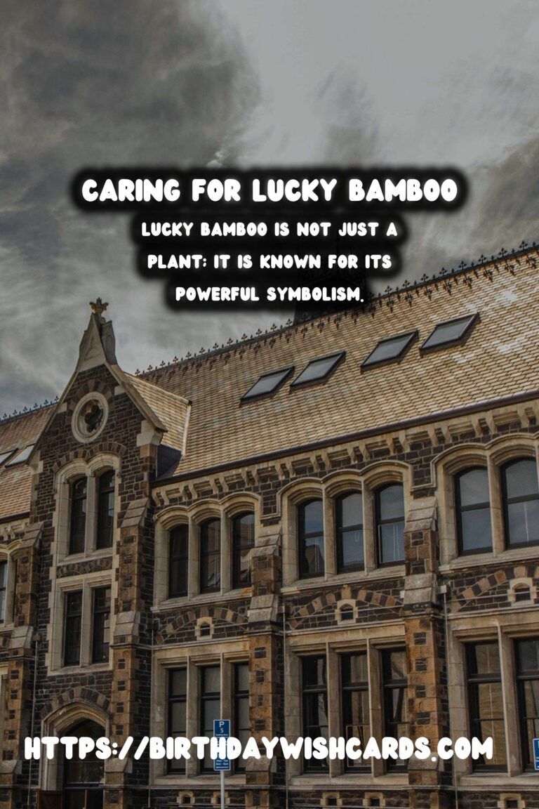 Caring for Lucky Bamboo: Symbolism & Proper Maintenance