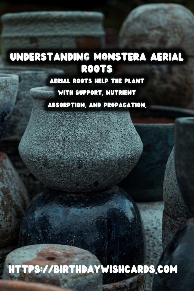 Caring for Monstera Deliciosa: Discover the Benefits of Aerial Roots