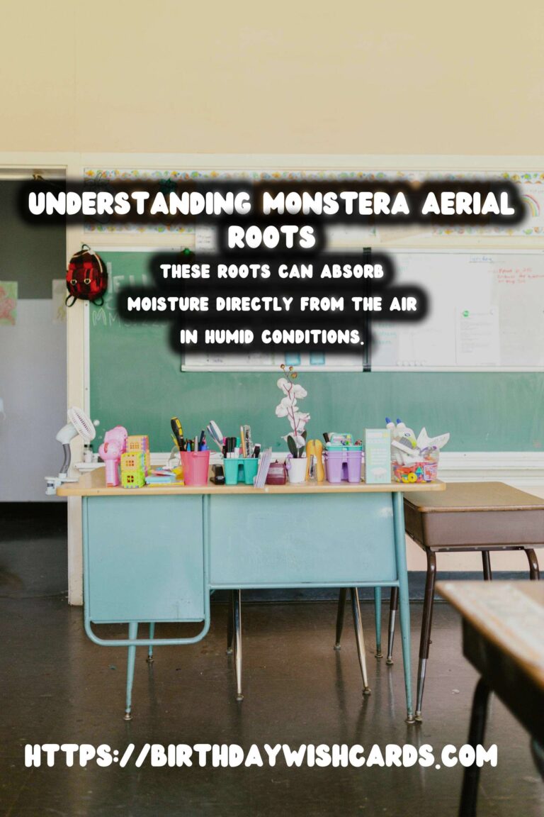 Caring for Monstera Deliciosa: Discover the Benefits of Aerial Roots