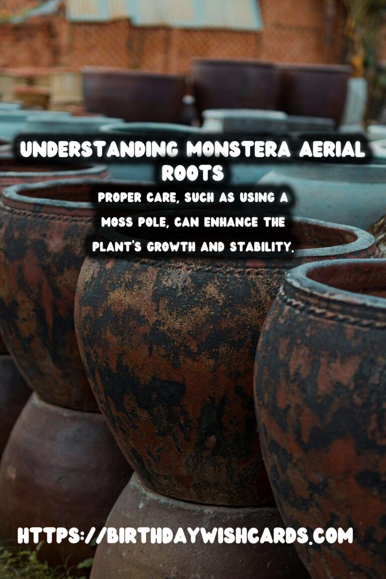 Caring for Monstera Deliciosa: Discover the Benefits of Aerial Roots