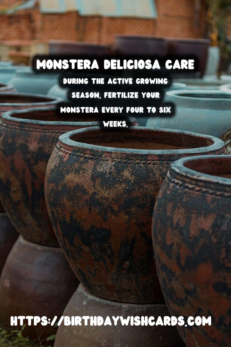 Caring for Monstera Deliciosa: Essential Fertilizing Needs