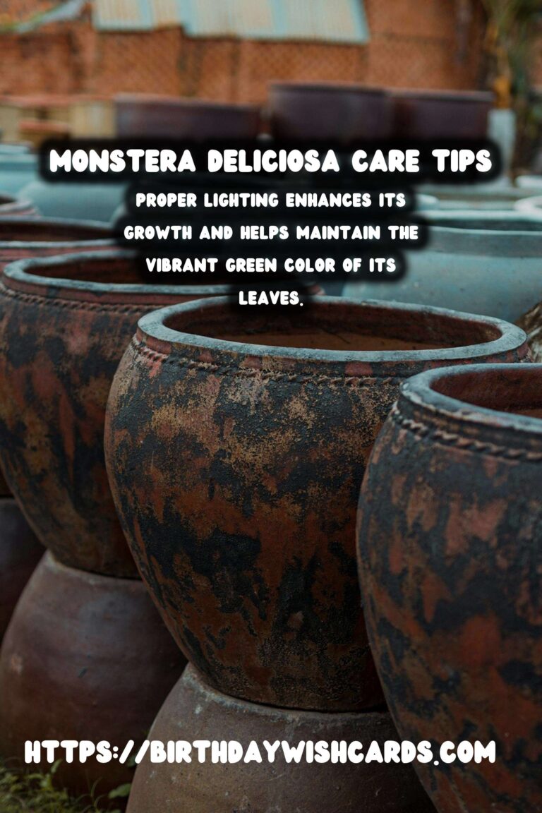 Caring for Monstera Deliciosa: Essential Support and Pruning Tips