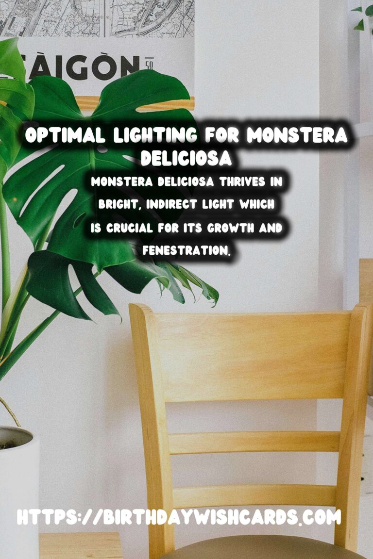 Caring for Monstera Deliciosa: Optimal Light for Growth and Fenestration