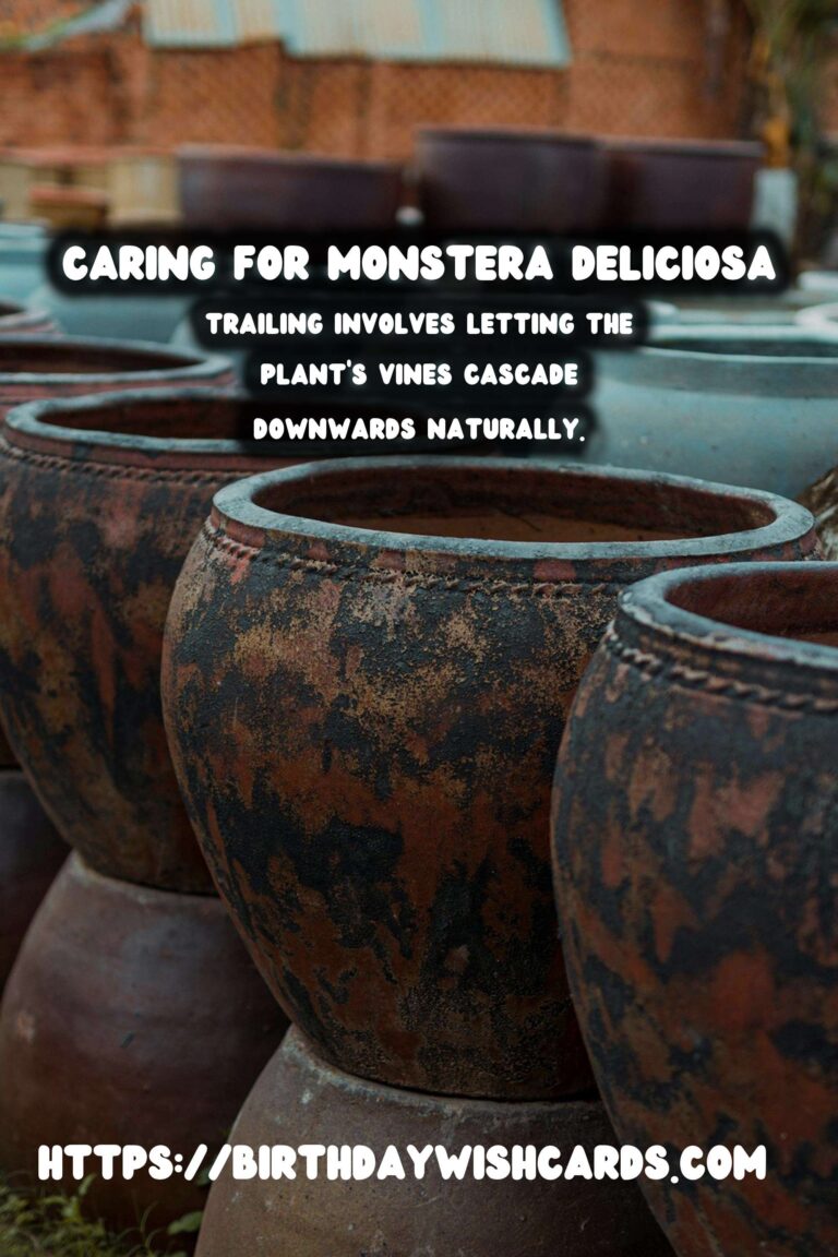 Caring for Monstera Deliciosa: Trailing vs. Staking