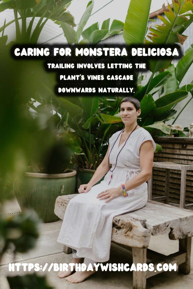 Caring for Monstera Deliciosa: Trailing vs. Staking