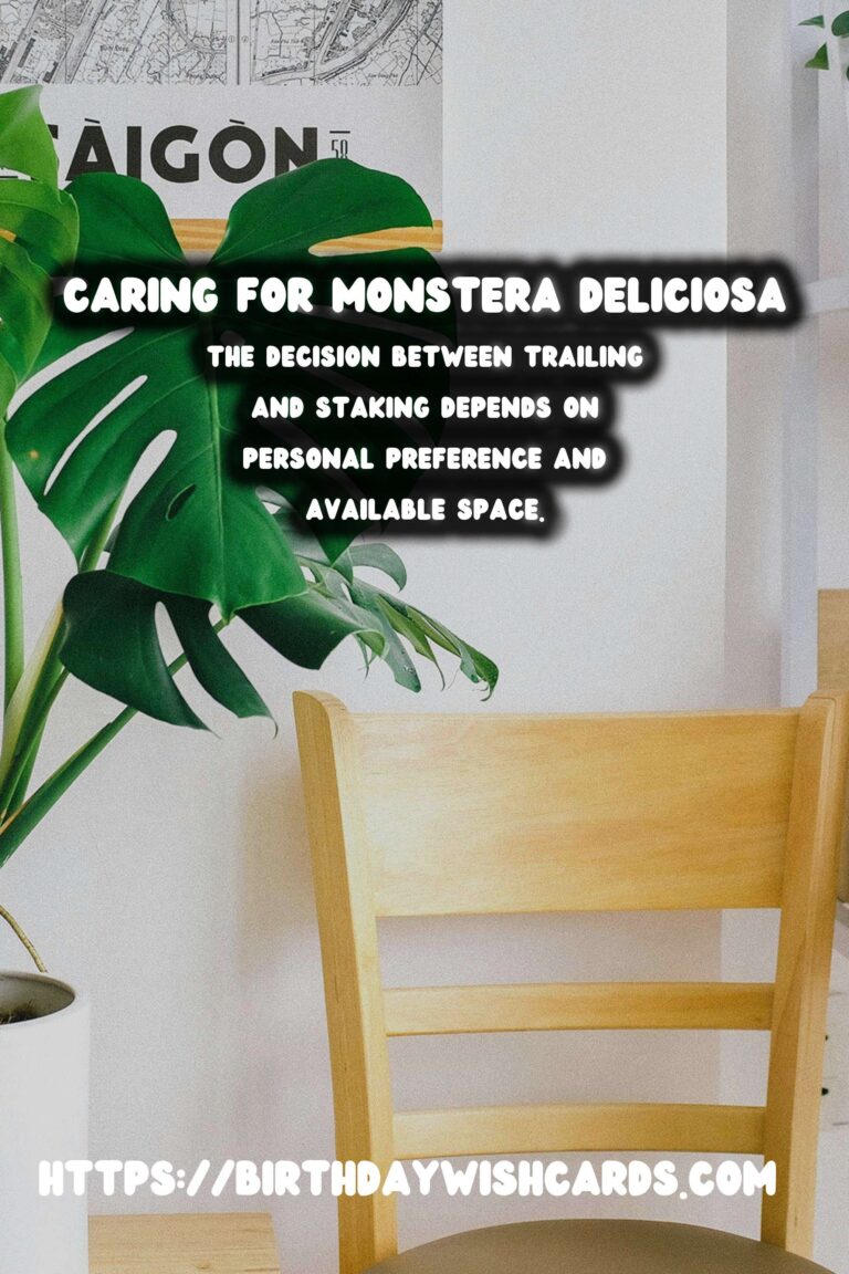 Caring for Monstera Deliciosa: Trailing vs. Staking