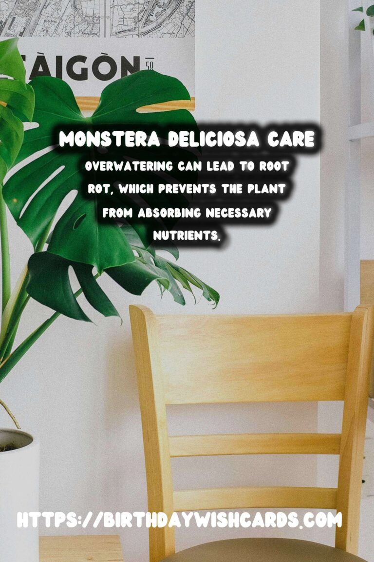 Caring for Monstera Deliciosa: Troubleshooting Yellow Leaves