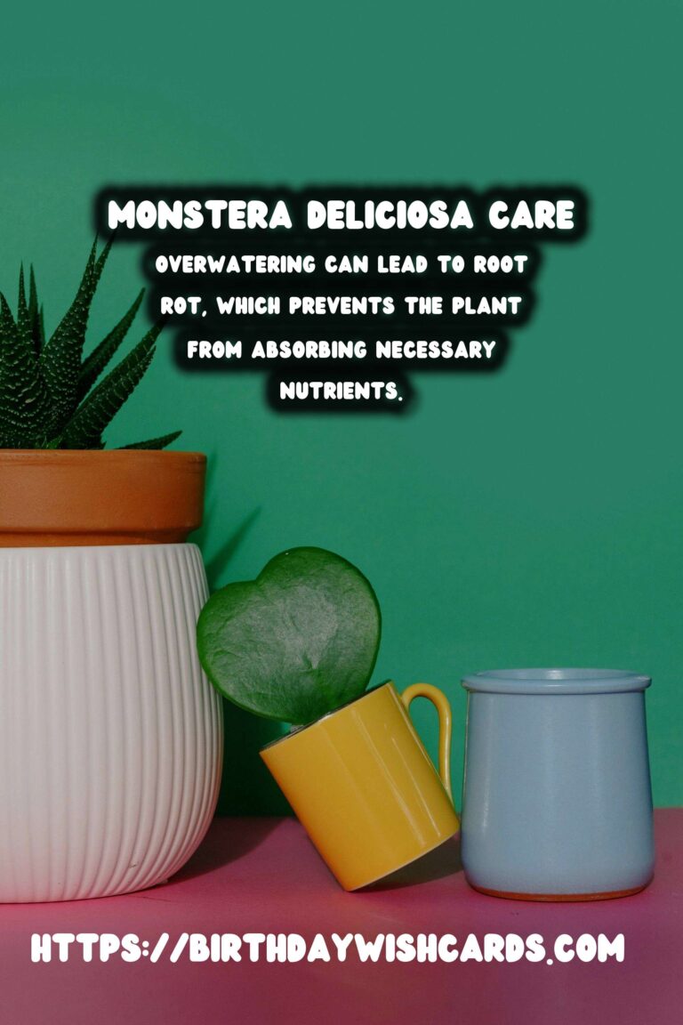 Caring for Monstera Deliciosa: Troubleshooting Yellow Leaves