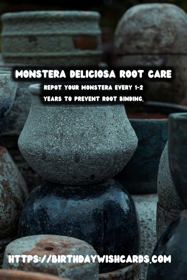 Caring for Monstera Deliciosa: Understanding the Root System