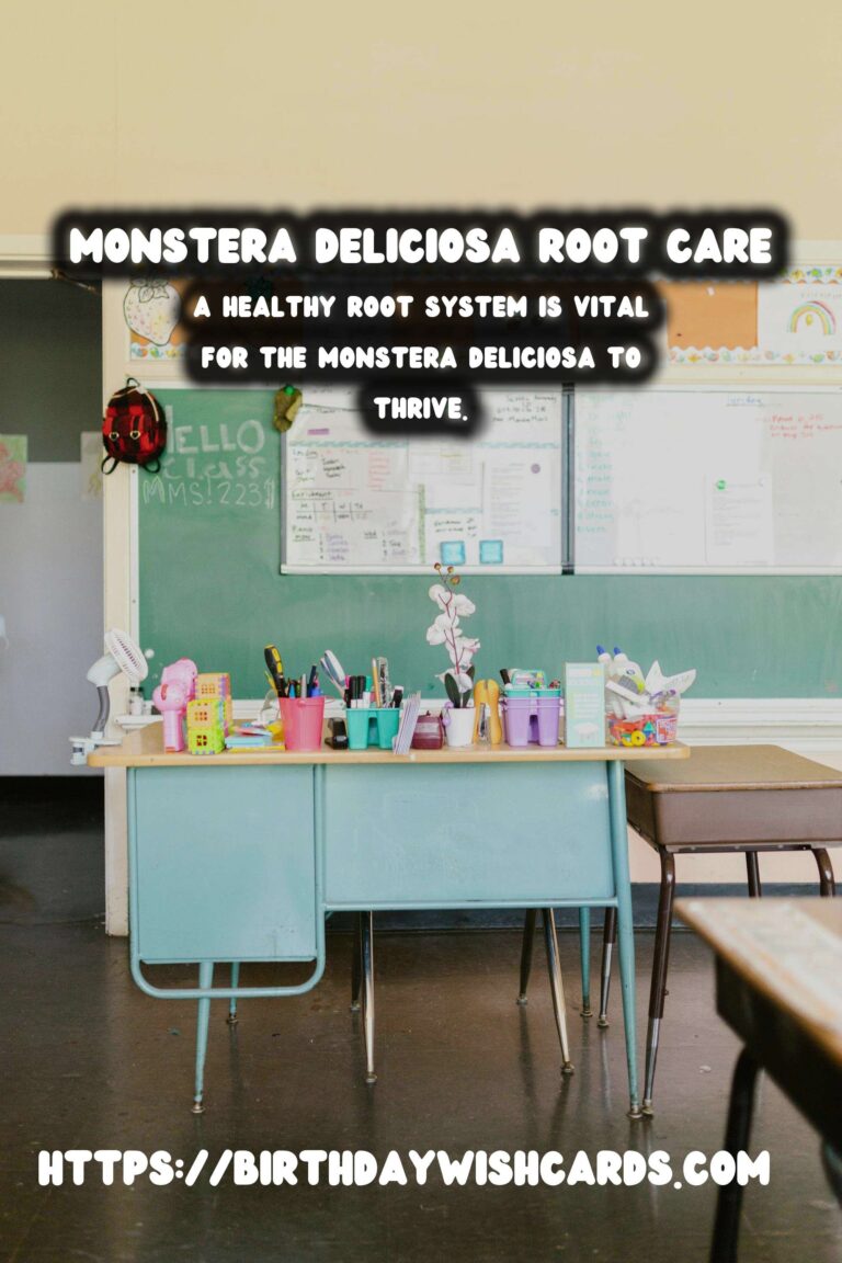 Caring for Monstera Deliciosa: Understanding the Root System