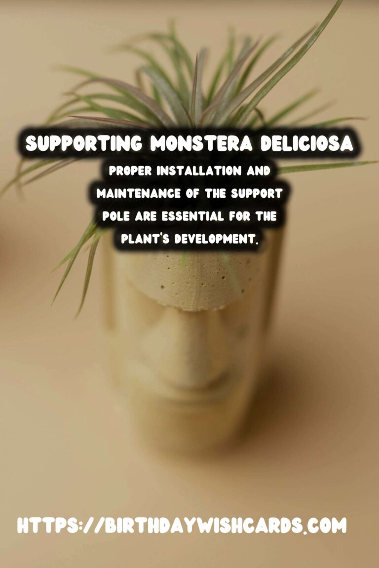 Caring for Monstera Deliciosa: Using a Support Pole for Optimal Growth