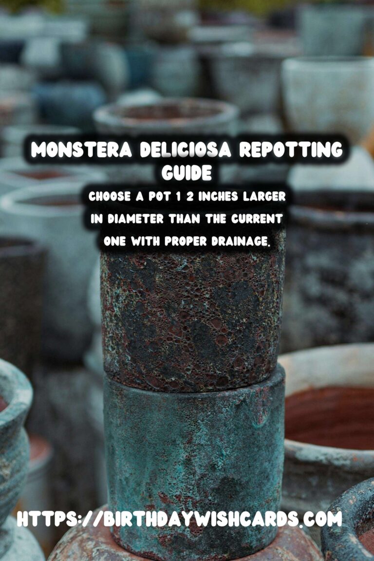 Caring for Monstera Deliciosa: When and How to Repot