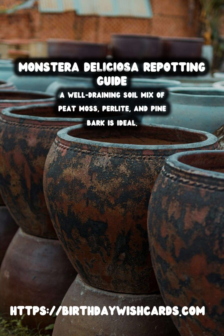 Caring for Monstera Deliciosa: When and How to Repot