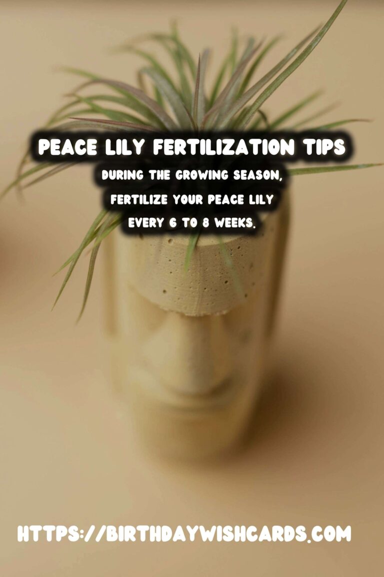 Caring for Peace Lilies: Essential Fertilizing Tips